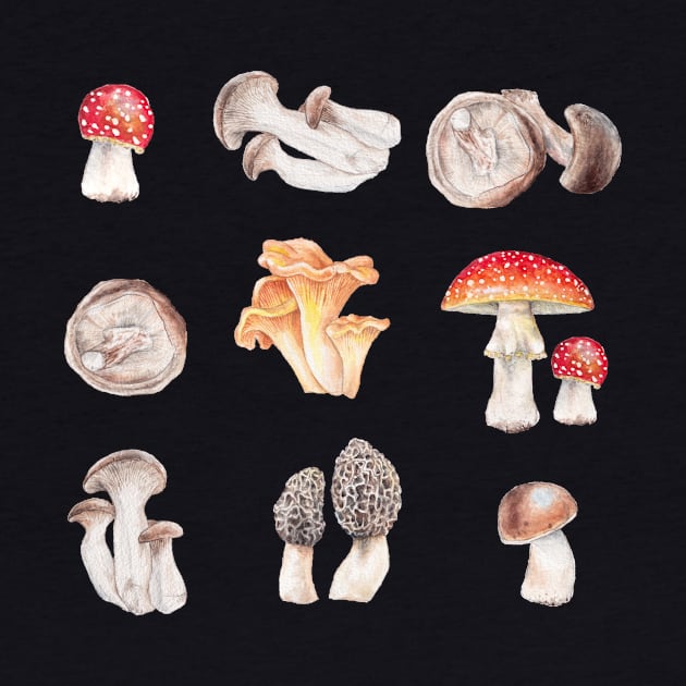 Many mushrooms by wanderinglaur